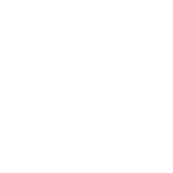 lightbulb icon